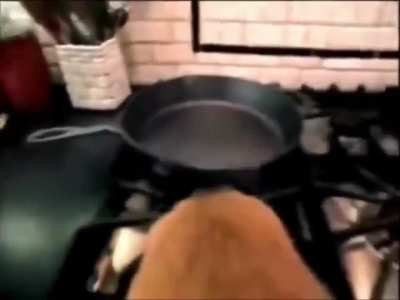 freaky dog