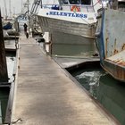 Land doggo vs sea doggos