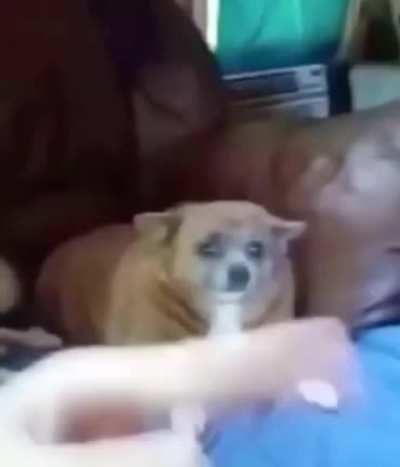 Funny title no.2