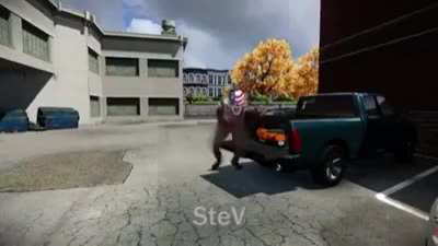 Stels