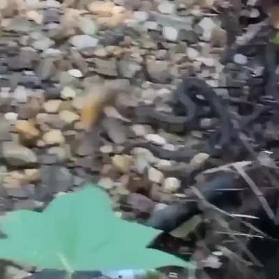 unexpected