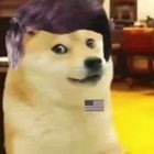 le five has arrived