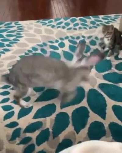 TouchyTouchyWhoa!