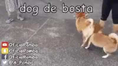 golpe de cu