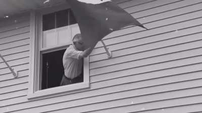 Nice Flag