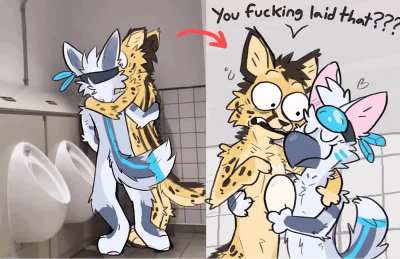 Furry_irl