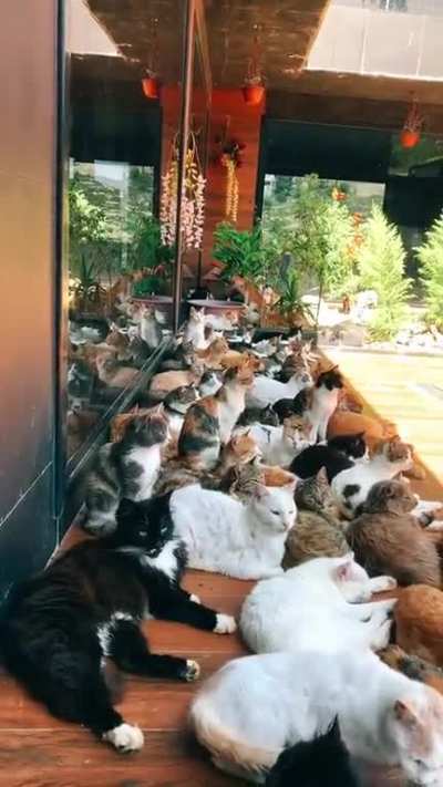(oc)Say it with me: Heaven
