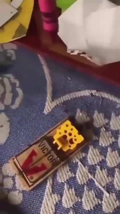 Nice trap tho