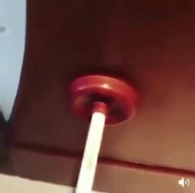 How to unclog a toilet