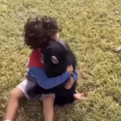 Monkey gets a new freind!