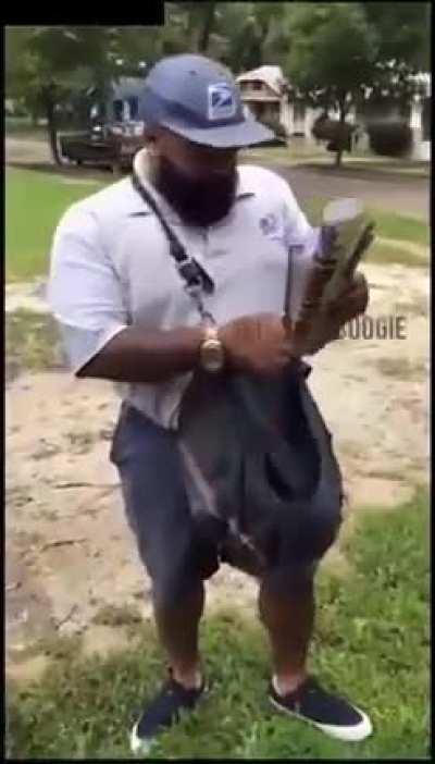 mail delivery