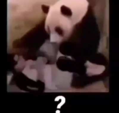 nani?