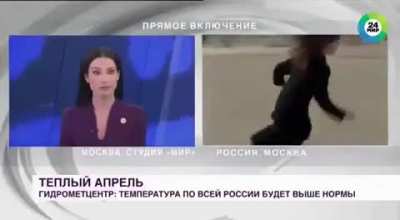A dog stealing a microphone during a live shot
