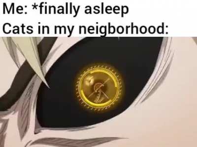 Will you shut up, man