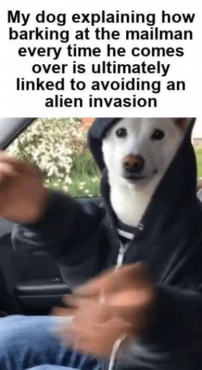 So anyways I started barking