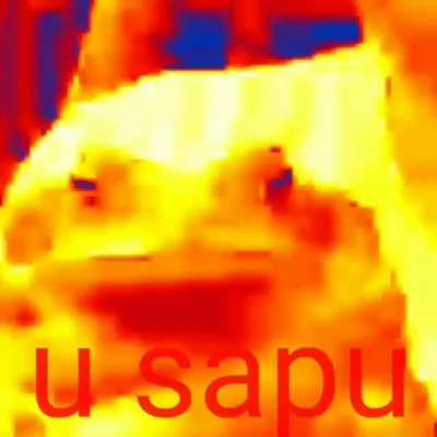 U sapu