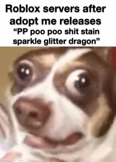 “____________”