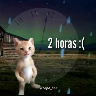 NOOO MI PANA (créditos al capo_shit un grande siganlo en insta)