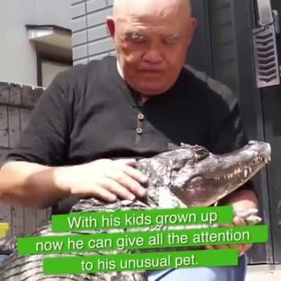 Да он не кусается