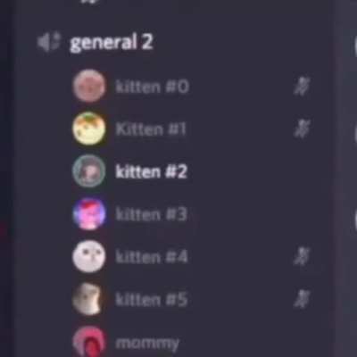849 kilobites