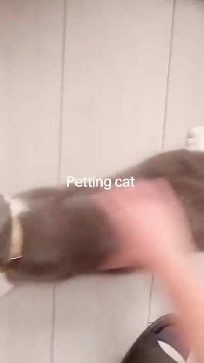ajskskwkakakakwnd