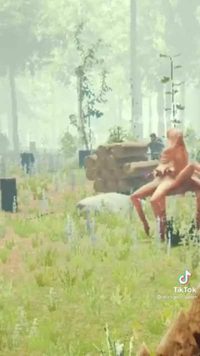 The forest be like… @mangocraunch