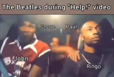 The beetles