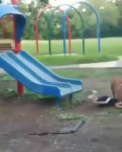 Oops, didn’t mean to!