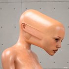 Long head