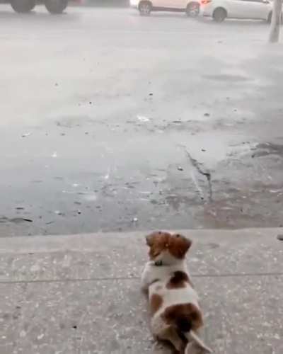 Just watching it rain