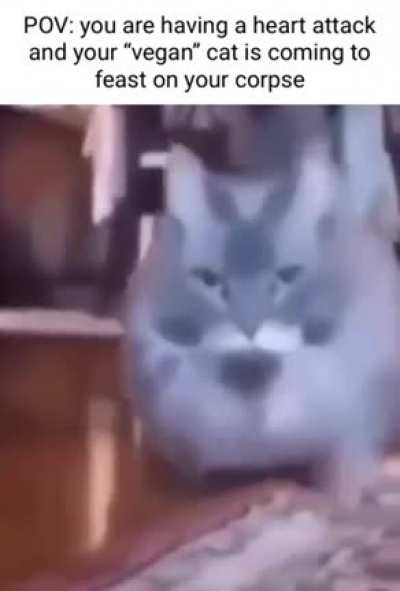 Plz upvote