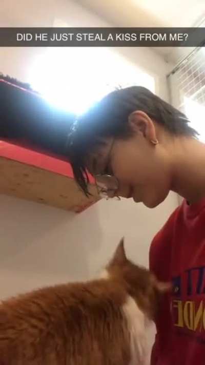 Cat kiss
