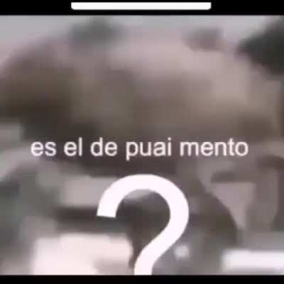 Siri facendo