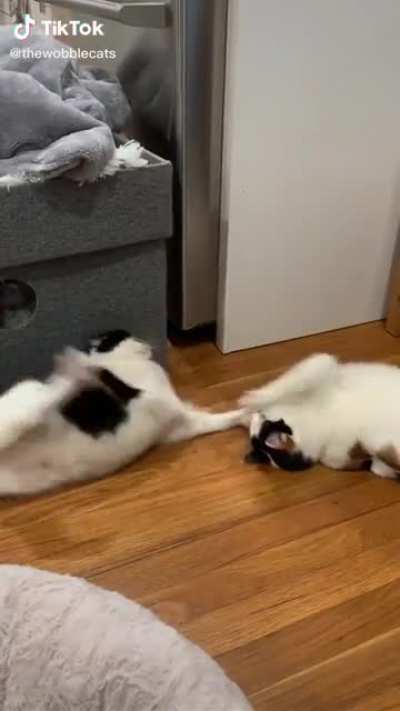 That leg wanted no part in the fight