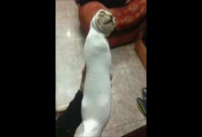 sock wunk