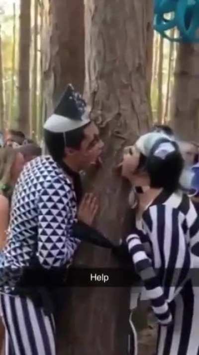 They love nature