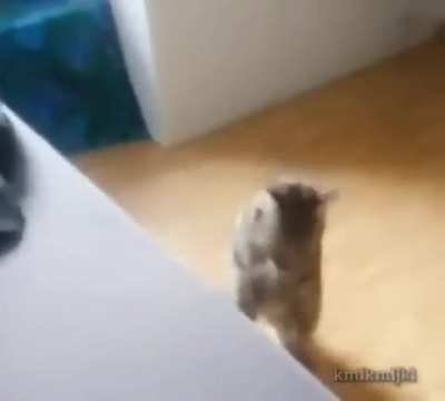Lag