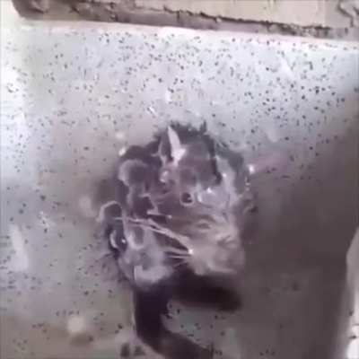Wtf