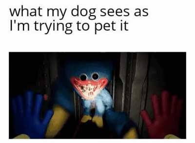 Here buddy, c'mere!
