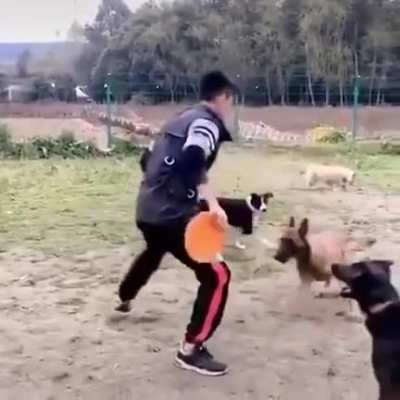 Hitdog in training