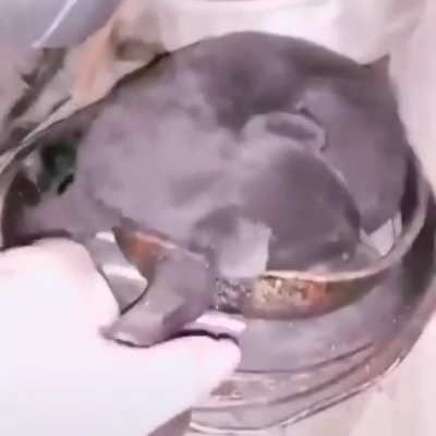?