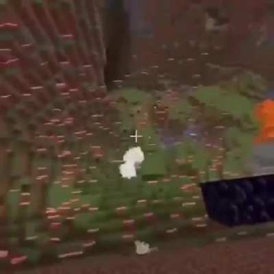 Loser Fireworks