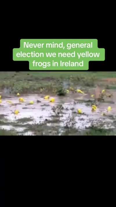 Meanwhile in Ireland... 