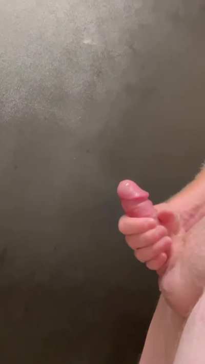 Public Bathroom Bust