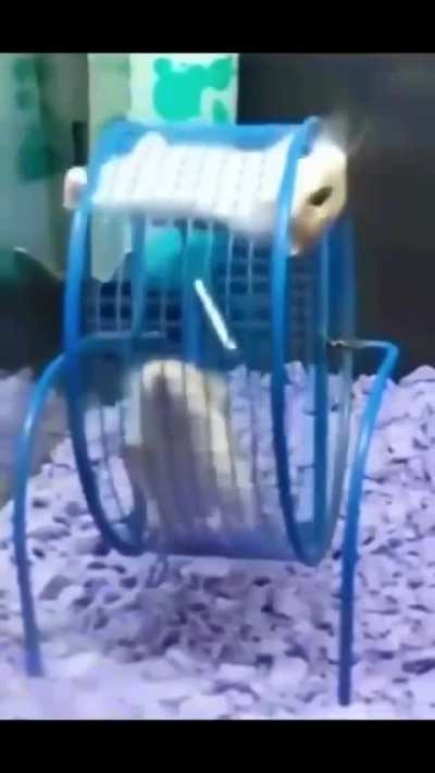 ª