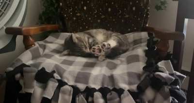 I would die for her beans