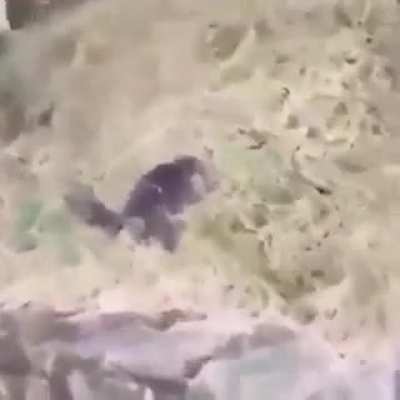 Nature is Beautiful