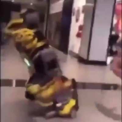Bumblebee dying inside