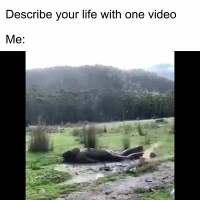 2meirl4meirl