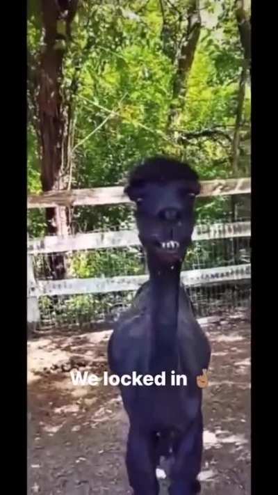 Oh hell naw